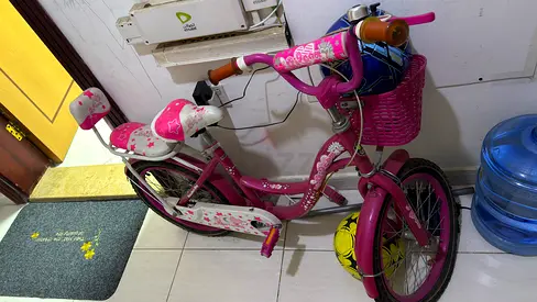 Cute Pink Bicycle for Kids with Basket
