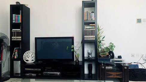 Modern Entertainment Center with Stylish Shelving