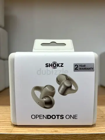 Shokz OPENDOTS ONE  Earbuds Grey