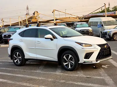 2021 model Lexus NX300 full option 2.0L