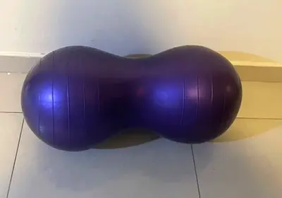 Purple Exercise Balance Ball for Stability and Core Training