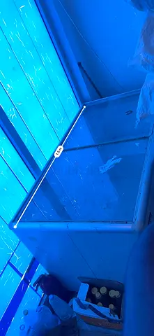 Commercial Glass-Top Freezer for Sale