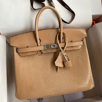 Hermes Birkin 25 Retourne In Beige Lizard Leather