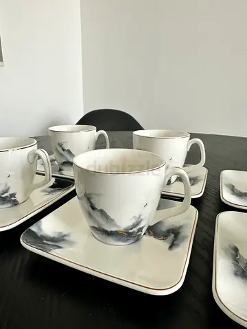 6 tea cup saucer set