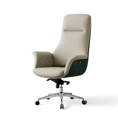 Ergonomic Executive Office Chair in Elegant Beige