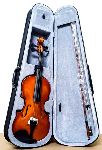 Violin 4/4 brand new