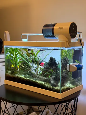 Fish Tank