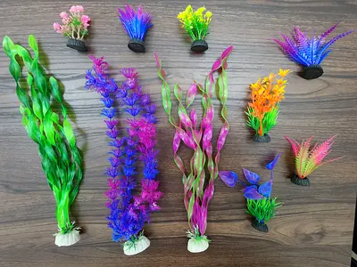 10 PC Colourful Aquarium Plants