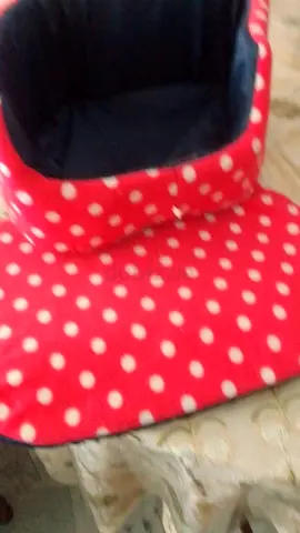 Wholesale of pet items - business closing