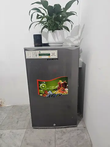Compact and Efficient Refrigerator for Sale