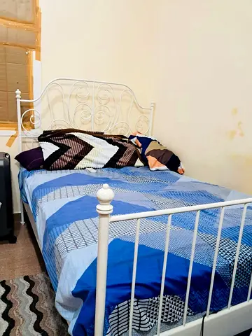 King Size Steel Bed and Spring Metress