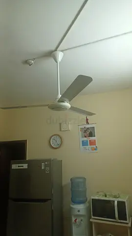 Ceiling Fan for Sale - Great Condition