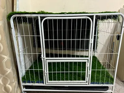 Cate cage for sale