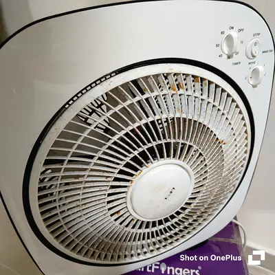 Geepas 12 inch Box Fan for Sale