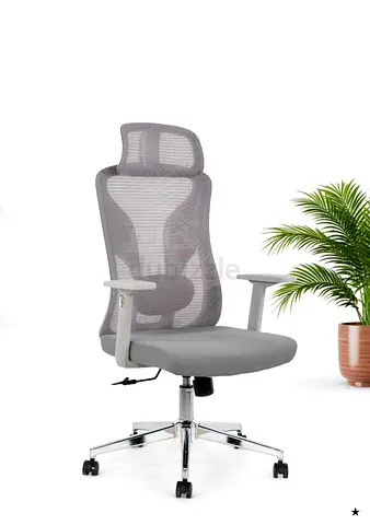Ergonomic Executive Office Chair in Grey