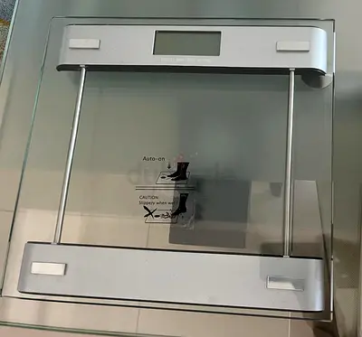 Camry Weighing Personal scale