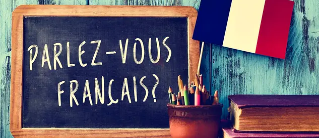 Experienced French Native Teacher for private tuition