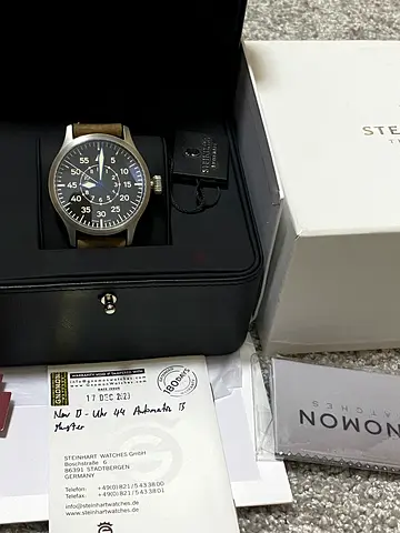 Steinhart B-type pilot aviator