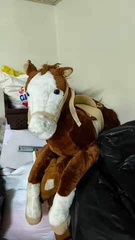 Soft Plush Ride-On Horse Toy