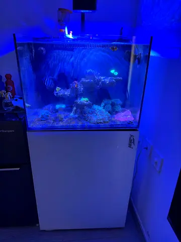 حوض بحري ماركه kaki متكامل