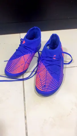 Vibrant Blue and Pink Sports Shoes for Sale