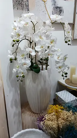 Elegant White Orchid Floral Arrangement for Home Decor