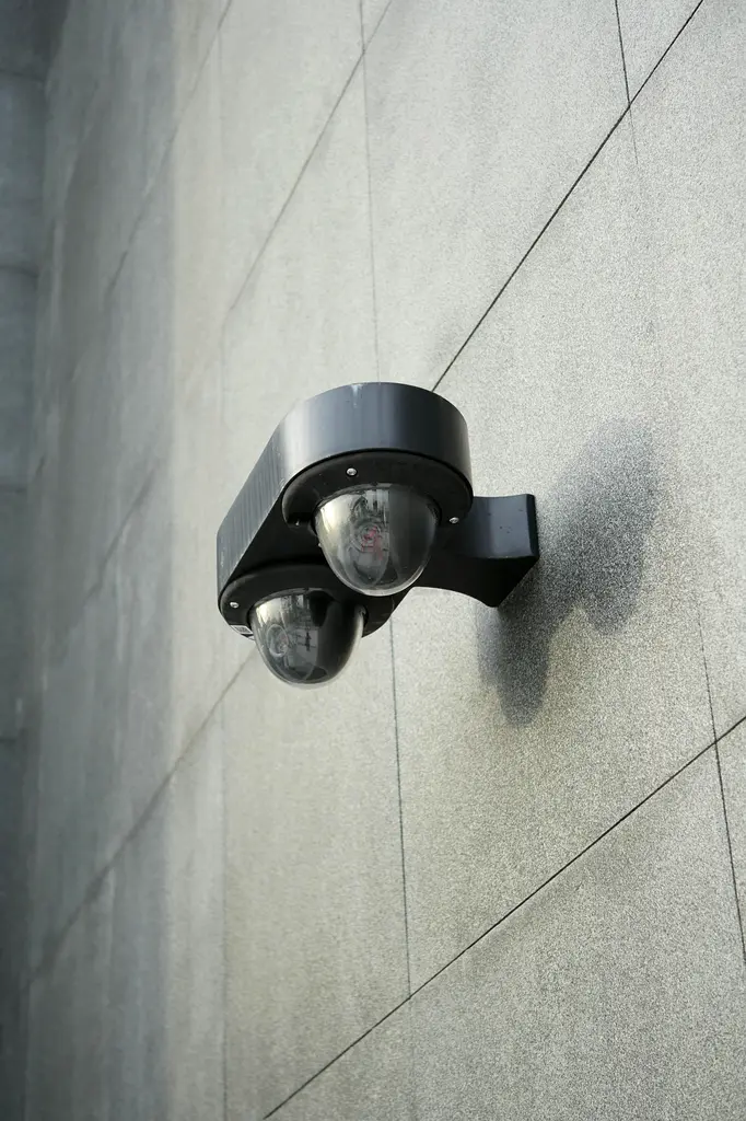 DPV_View_Image_3