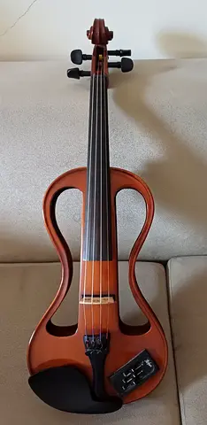 Höfner silent violin