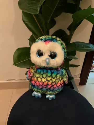 ty-Rainbow Owl Plushie.