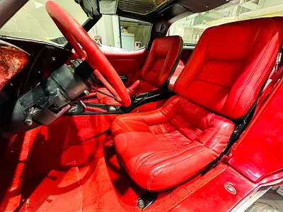 1979 Chevrolet CORVETTE 照片 6
