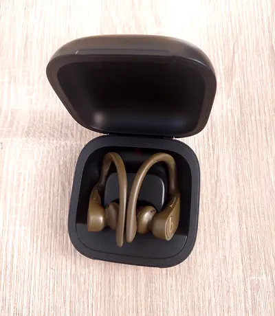 Powerbeats Pro Wireless In-ear Headphones