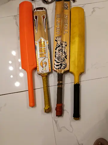 Cricket bat