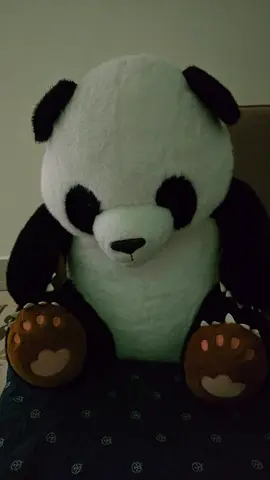 Panda toy