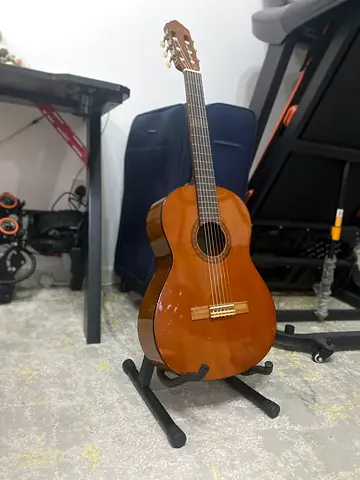 Beautiful Acoustic Guitar for Sale cgs-103