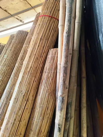 Bamboo available for sale