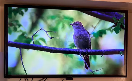 Stunning 50-inch LED Android Smart TV