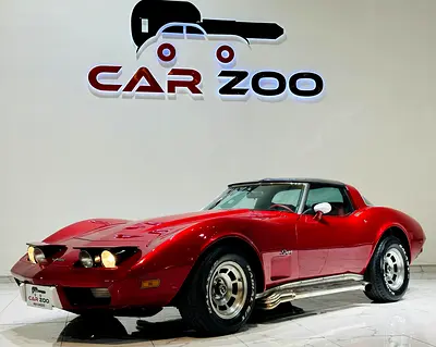 1979 Chevrolet CORVETTE 照片 13