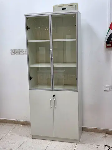 Modern 2 Doors Book Cabinet with Glass Doors