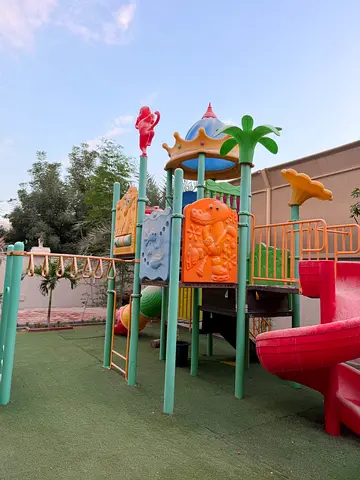 Colorful Outdoor Playground Equipment for Kids