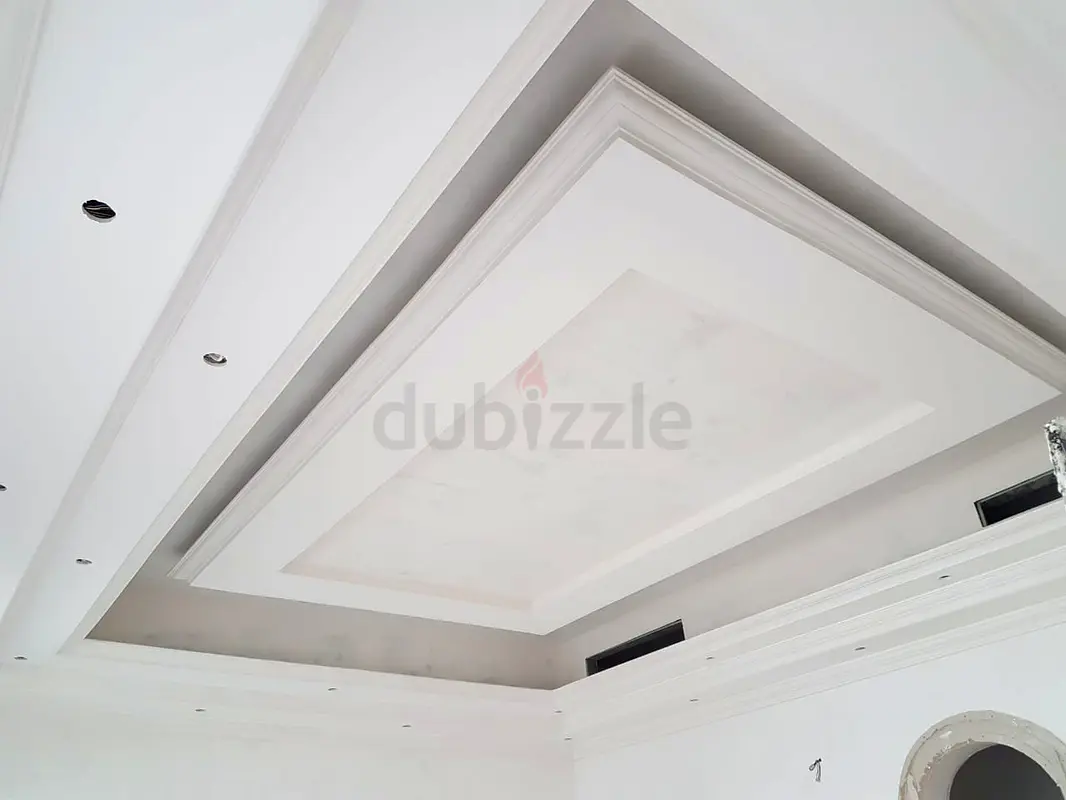 DPV_View_Image_1