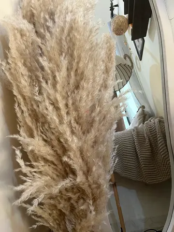 Elegant Pampas Grass Arrangement for Your Home Decor