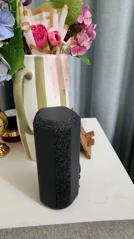 Sony XE200 portable speaker