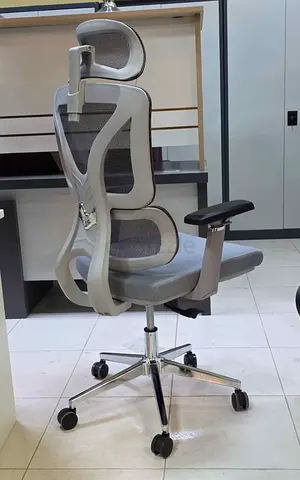 Ergonomic Office Chair with Adjustable Features