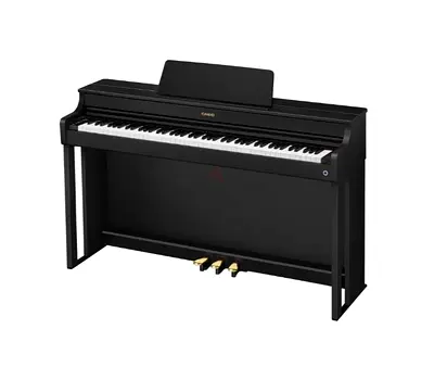 Casio AP-300BK C2 Digital Piano - Black