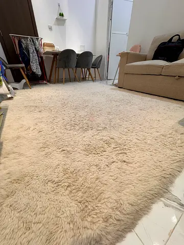 Cozy and Soft Shaggy Area Rug