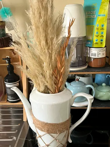 Charming White Ceramic Vase (only pot)