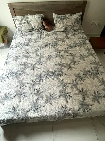 Queen Size Comfortable Bed