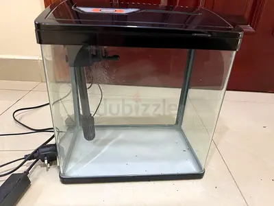 Fish Tank (No pump) and accessories