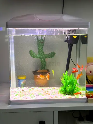 Beautiful Aquascape Aquarium with Colorful Fish