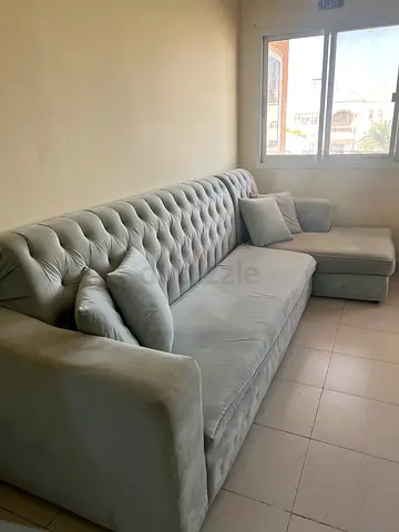 Elegant Grey Velvet Sofa Set